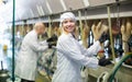 Professional milkers operating machine milking Royalty Free Stock Photo