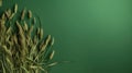 Professional Minimalistic Wheat Ears Composition On Green Background