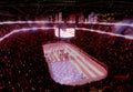 NHL hockey USA Professional sports - NHL hockey USA (United States) players and US flags