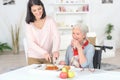 Professional nurse feeding older lady Royalty Free Stock Photo