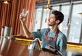 Professional Occupation. Bartender standing at counter checking glass cleanliness smiling satisfied