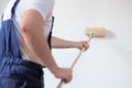 Professional painter worker is painting one wall Royalty Free Stock Photo