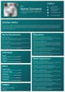 Professional personal resume cv with blue frames design