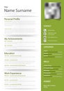 Professional personal resume cv in green design with effects