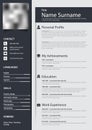 Professional personal resume cv with narrow stripes in blue design