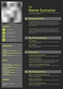 Professional personal resume cv with strips in dark design Royalty Free Stock Photo