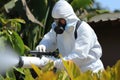 Professional pest control technician in protective suit spraying poisonous gas to eliminate pests
