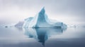 Professional photograph of iceberg floating in arctic waters. Royalty Free Stock Photo