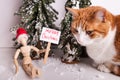 Merry Christmas picket sign held by wooden jointed manikin doll wearing a red Santa hat orange and white cat sitting close Royalty Free Stock Photo