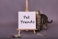 White canvas sign with Pet Trends painted in black paint cat standing by sign