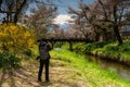 Professional photographer shooting landscape photo of Sakura or cherry blossom along bridge and canal with mount Fuji background Royalty Free Stock Photo