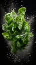 professional photography of falling lettuce. black background. clean water splash.