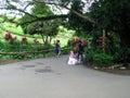 Professional Photography, La Mesa Ecopark, Quezon City, Philippines