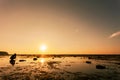 professional photography man take a photo sunset dramatic sky over the tropical sea. Royalty Free Stock Photo