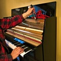 Professional piano technician playing keys and tuning strings with tool