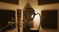 Professional recording studio microphone equipment Royalty Free Stock Photo