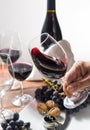 Professional red wine tasting event with high quality wine glass Royalty Free Stock Photo