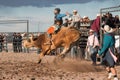 Professional Rodeo Bull Riding