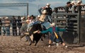 Professional Rodeo Bull Riding