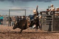 Professional Rodeo Bull Riding