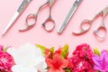 Professional scissors for a hairdresser and flowers on pink background close-up. Royalty Free Stock Photo