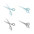 Professional scissors set vector image Royalty Free Stock Photo