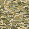 Professional seamless pixel summer camouflage. Camouflage seamless pattern. Trendy style camo, repeat print. Vector