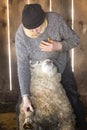 Professional sheep shearer wrestling with sheep in a Connecticut barn