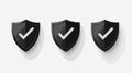 Professional Shield Check Mark Icon for Security Protection Royalty Free Stock Photo
