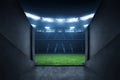 Professional soccer fields stadium entrance Royalty Free Stock Photo