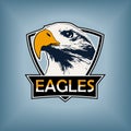 Professional sports logo, emblem template with the image of the hawk, eagle, falcon