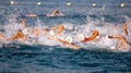 Professional sportsman swimming in the Red Sea