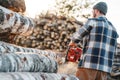 Professional strong lumberman wearing plaid shirt sawing tree with chainsaw for work on sawmill Royalty Free Stock Photo