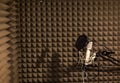 Professional studio microphone for voice recording. Sound recording studio. Soundproof room Royalty Free Stock Photo