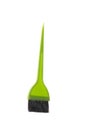 Professional styling tools,hair`s coloring brush