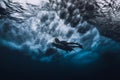 Professional surfer with surfboard dive underwater. Alone surfer and big ocean wave. Royalty Free Stock Photo