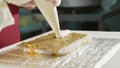 Professional sushi chef preparing roll at commercial kitchen, close-up. Royalty Free Stock Photo