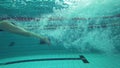 Professional swimming in pool, Sports woman plunges underwater while float training at Poolside