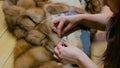 Tailor repairing fur coat