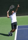 Professional Tennis Player. Royalty Free Stock Photo