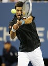 Professional tennis player Novak Djokovic during quarterfinal match at US Open 2013 against Mikhail Youzhny