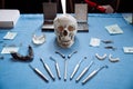 Professional tools for stomatology and maxillofacial surgery.