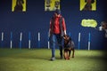 Professional trainer teaching a canine the Heel command