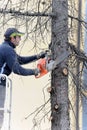 Professional tree trimming