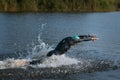 Professional triathlete swimming in river's open water. Man wearing swim equipment practicing triathlon on the beach in Royalty Free Stock Photo
