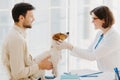 Professional veterinarian doctor makes checkup of jack russel terrier dog in clinic, wears white coat and medic gloves, going to