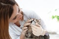 Professional veterinarian examining cat`s teeth