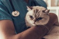 Professional Veterinarian Holding Cute Sad Cat