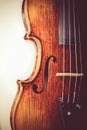 Professional violin background close-up