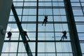 Professional window cleaners climbing up facade